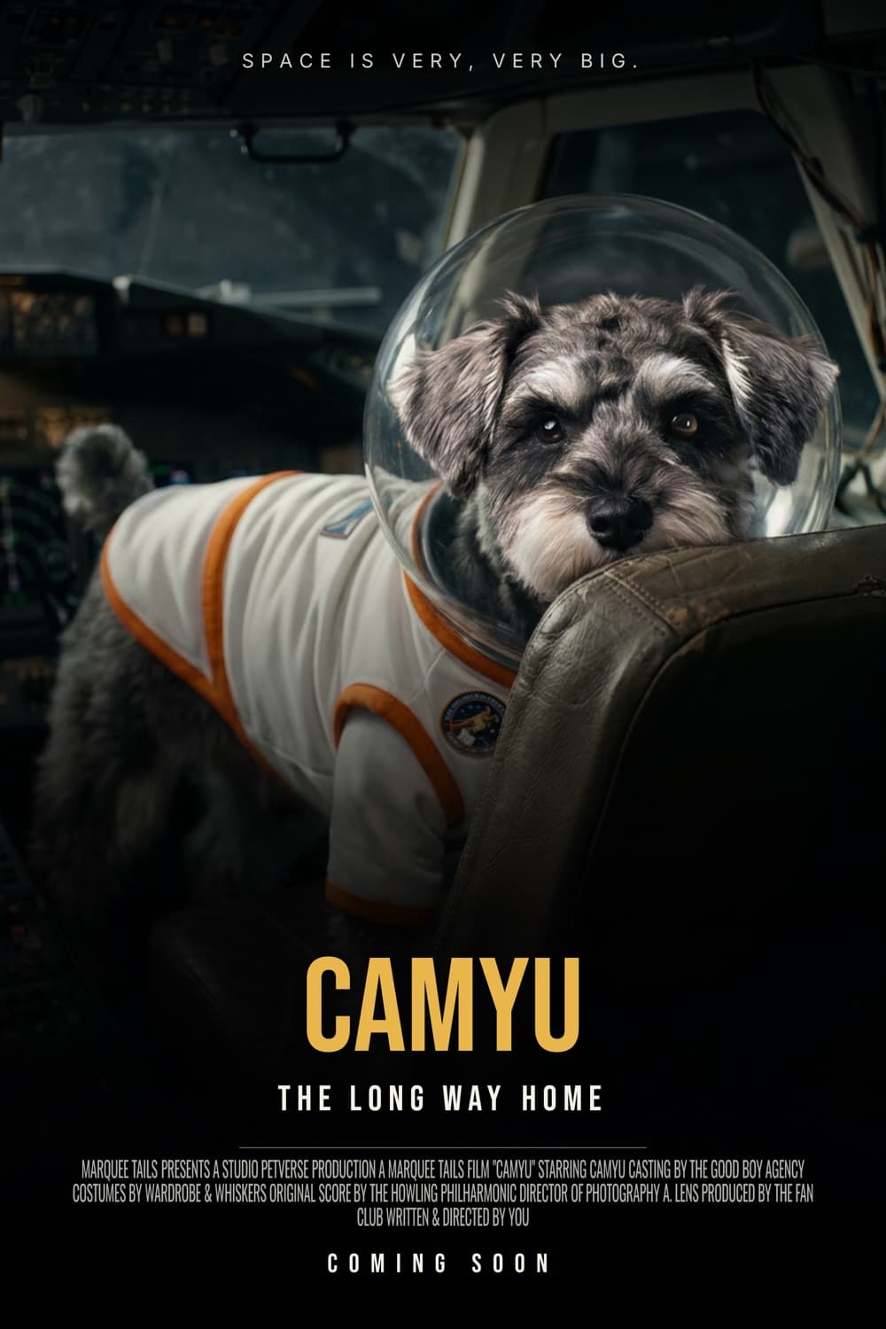 Movie poster for Camyu: The Long Way Home. Camyu in a space helmet fills the frame, with the title and a full Hollywood billing block.